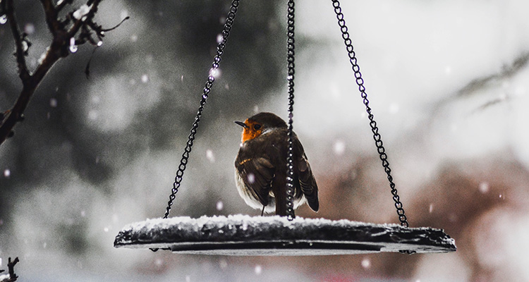 A Fresh Approach For The New Year | Business Finance Support | Help with Business Finance