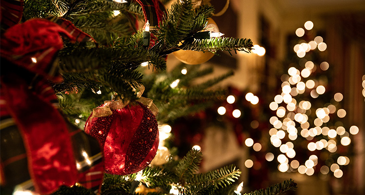 Wishing Everybody A Merry Christmas