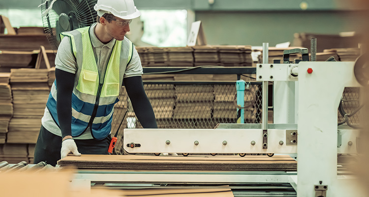 Funding machinery investment to support growth and efficiency